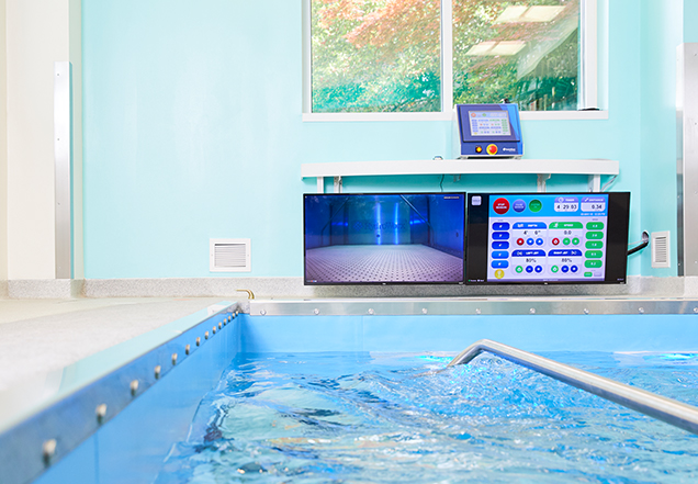 Rehabilitation therapy pool