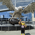 Freddie Falcon 