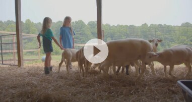 Fiona with farm animals