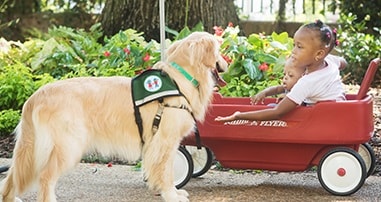 little girls in wagon visiting with pediatric therapy dog at hospital
