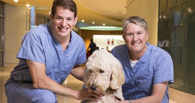 Pediatric orthopedic specialists with therapy dog. 