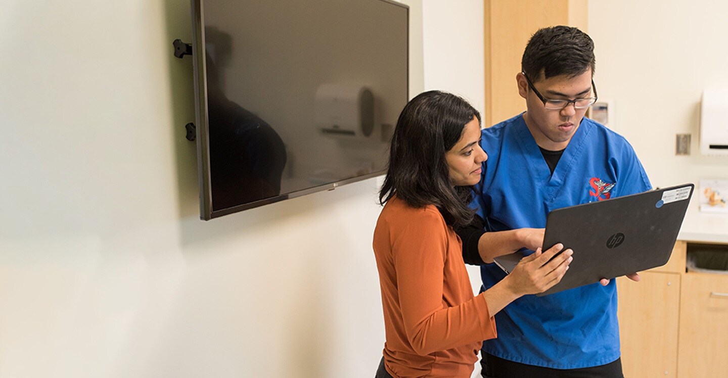 Dr. Raol looking at a computer