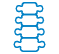 Spine