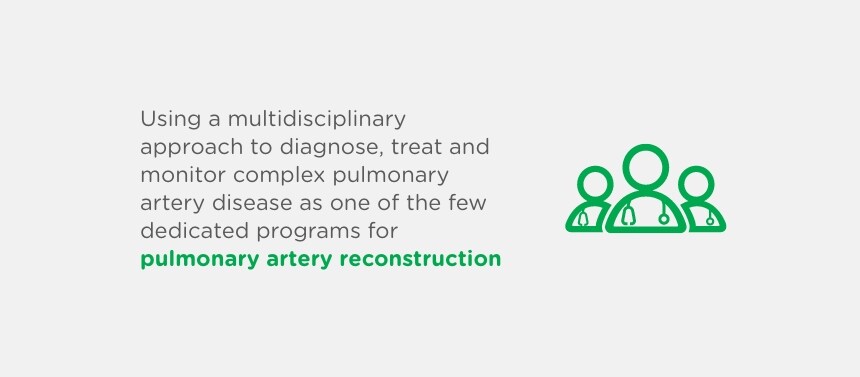 complex pulmonary artery reconstruction