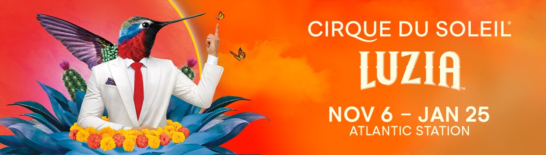 Cirque du Soleil Banner