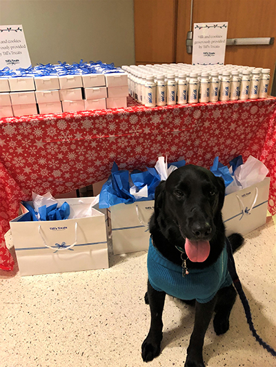 dog with treats