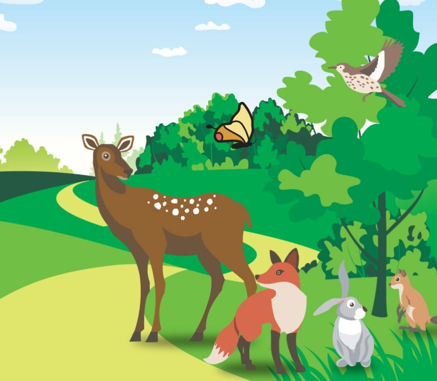 Woodland animals on Arthur M. Blank Hospital interactive wall
